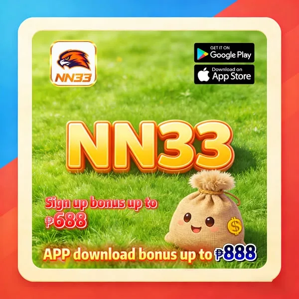 NN33